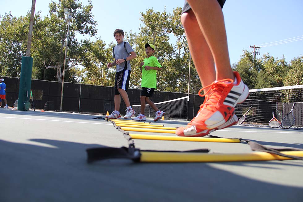 People working on laptops